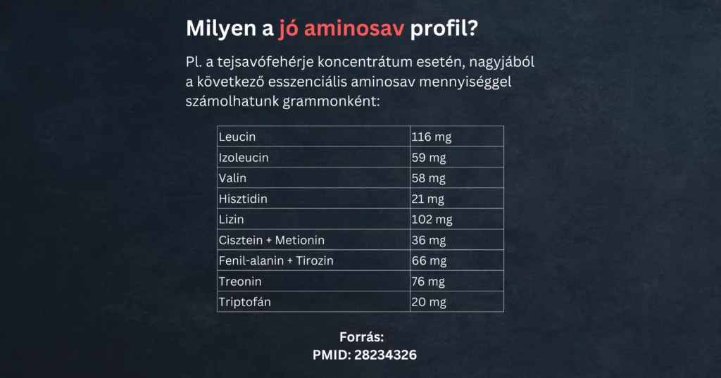 Fehérjepor aminosav profil