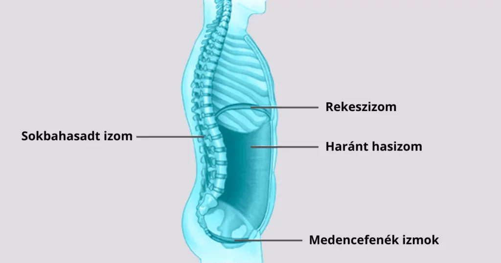 Core stabilizáló izmok
